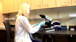 REACH Charlotte -- North Carolina Fertility Specialists -- Male Infertility