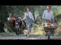 The Durrells in Corfu, Season 2: Going to Market