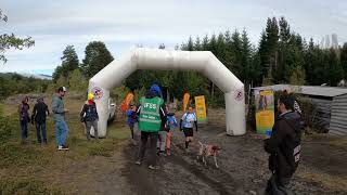 Ifss Latin American Championships & Latin Masters Dryland Villarica 2022 Dia Dos.