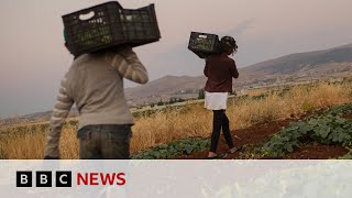 Almost One In 10 Children Having To Work Due To Global Cost-Of-Living Crisis - Bbc News