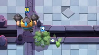 Megabushfun