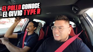 EL POLLO REACCIONA AL HONDA CIVIC TYPE R!