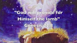 Watch David Hodges You Are The Light video