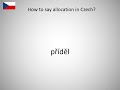 How to say allocation in Czech?