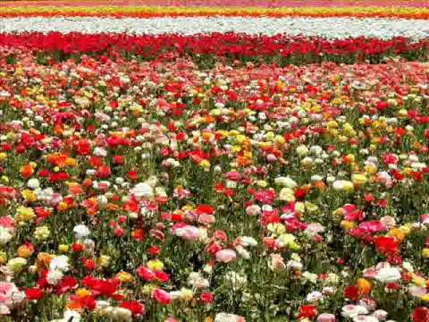 Kissa Hum LikhengeBy Tahir Saeed