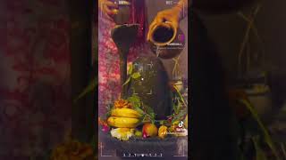 Jay Sambho