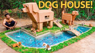 Building Dog Shaped Houses For Rescue Puppies They Love It