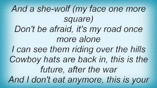Watch Throwing Muses And A Shewolf After The War video