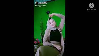 Tiktok Gunung Gede Hot