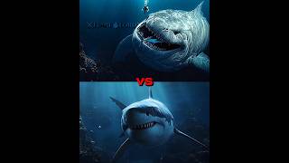 The Bloop Vs Megladon, Mosasaurus,Karken