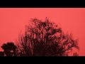 Red Sky | Heiloo | Panasonic G90