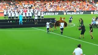 OTfChREQwfc Video Image