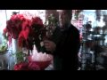 Tom Boesen Talks Holiday Poinsettias at the Ingersoll Store