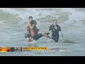 Great white shark attack: California swimmer survives bite