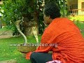 Snake Charmer Cobra India