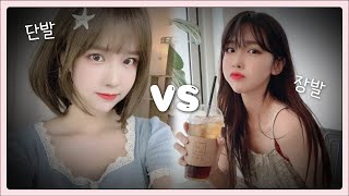 단발린 Vs 장발린