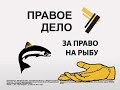 Video За бесплатную рыбалку!