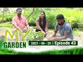 My Garden 20-06-2021