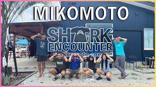 Mikomoto Japan Searching For Hammerhead Sharks In Japan The Master Scuba Club Ep.34