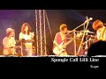 Spangle Call Lilli Line - Sugar