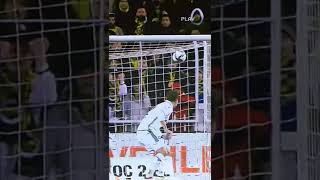 Pelkas'ın golü ve sevinci 💪🏻😂 #pelkas #fenerbahçe #football #süperlig