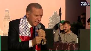 Эрдоган Довольствуется Второстепенной Ролью, Предоставляя Документы По Войне В Газе