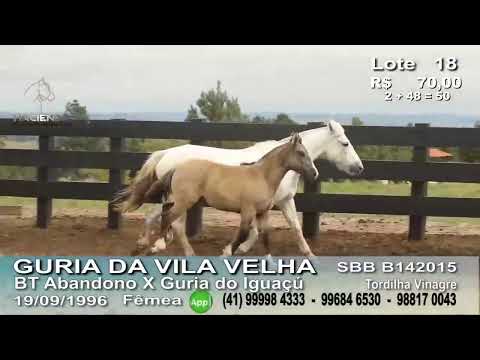 Hacienda Assessoria em Negócios Rurais