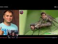 ГЕРОЙ ПРОПАЛ С КАРТЫ ПРЯМО НА ТУРНИРЕ | ТОП МОМЕНТЫ ДОТА 2