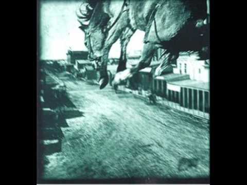 The Elephant Sound Video