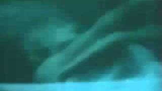 Watch Tindersticks Sweet Memory video