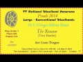 TT Steelband Panorama 2014 - Large Finals. Silver Stars - The Reason (Arr by Liam Teague)