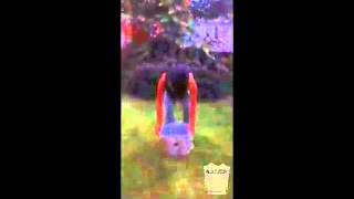 Nadia Akhtars Ice Bucket Challenge For Water Aid And Als