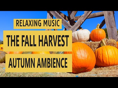 Autumn Ambience: BEAUTIFUL Fall Harvest to Relaxing Autumn Ambience Music Autumn Ambience: BEAUTIFUL Fall Harvest to Relaxing Autumn Ambience Music