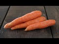 Yerkökünün faydaları. Bu möcüzəvi tərəvəzin faydalarını eşidəndə çox təəccüblənəcəksiniz Yerkökünün faydaları. Bu möcüzəvi tərəvəzin faydalarını eşidəndə çox təəccüblənəcəksiniz