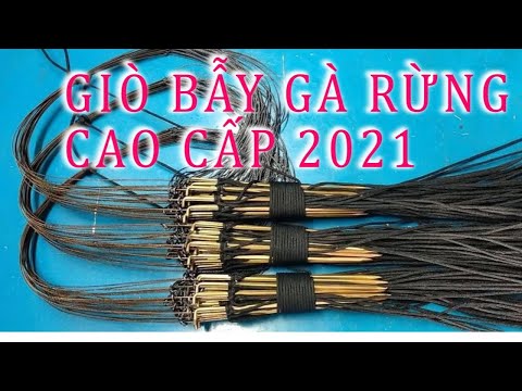Ga Rung | Giò Bẫy Gà Rừng Cao Cấp 2021 | Giá Bình Dân 200k/ Bộ 20 Chân | 0965143668