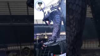 Amazing Cobra Snake