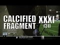 Destiny - Calcified Fragment: XXXI (31) - King's Fall Raid Fragment #3