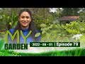 My Garden 01-05-2022