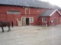 bedækning