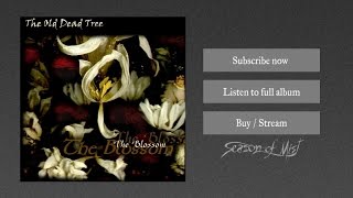 Watch Old Dead Tree The Dark Missionary video