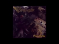 Tyburn Field Video preview