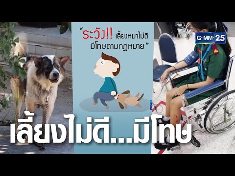 ปล่อยหมากัดคน มีโทษจำและปรับ | เจาะข่าวค่ำ | GMM25