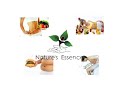 natural essence - Fit Day