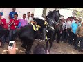 Baile caballo