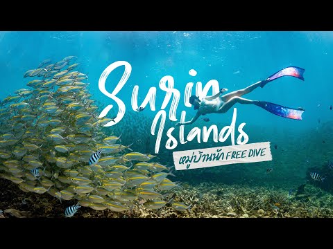 หมู่เกาะสุรินทร์ สวรรค์นักดำน้ำ หมู่บ้านนักฟรีไดว์ - GoodLo Go Dive Site
