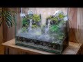 Making an Aquaterrarium with two flowing waterfalls