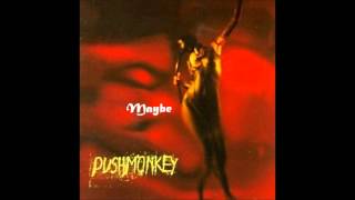 Watch Pushmonkey Maybe video