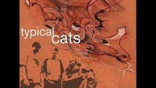 Watch Typical Cats The Manhattan Project video