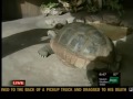 New Zoo Boo