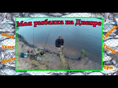 фидерная рыбалка чехонь фидерная рыбалка чехонь